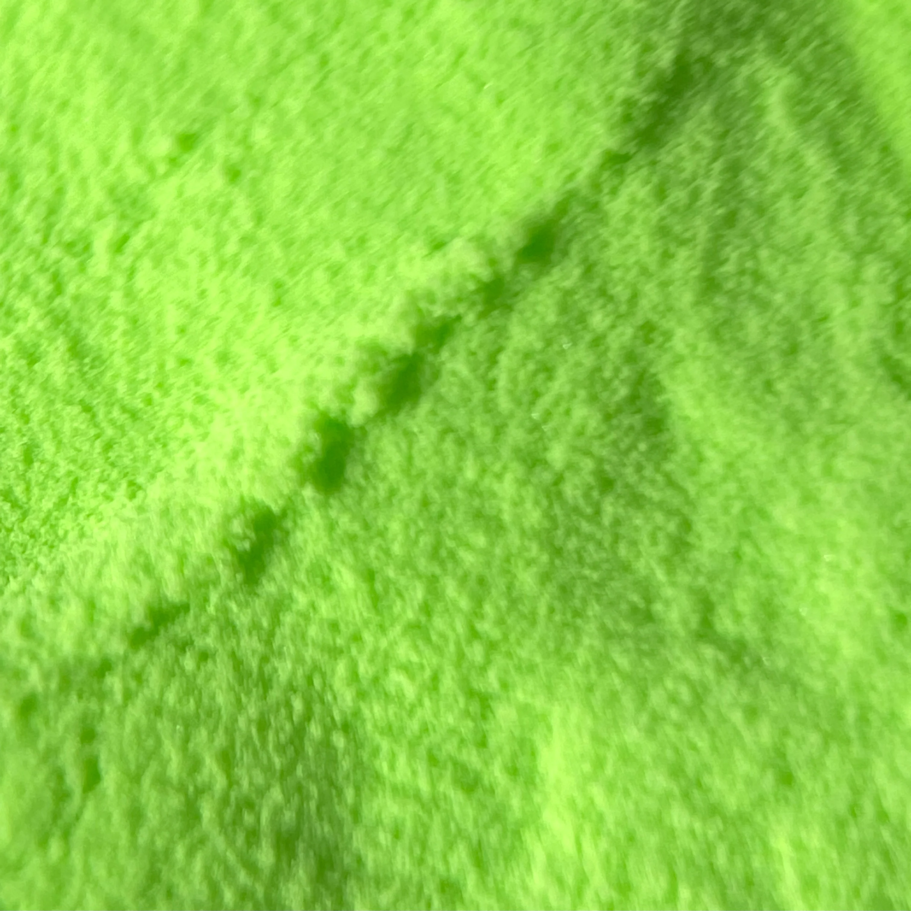 Luminous Lizard - Image 2