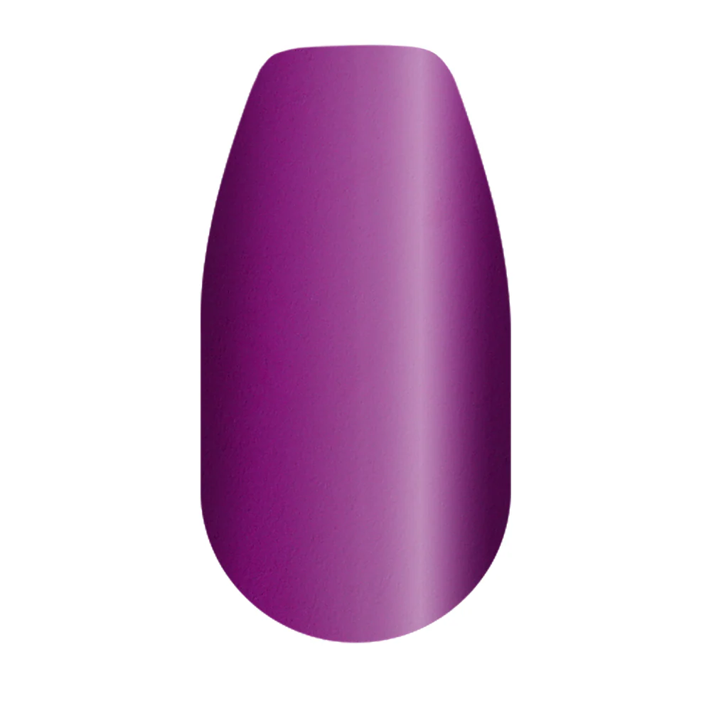 Wild Berry - Image 2